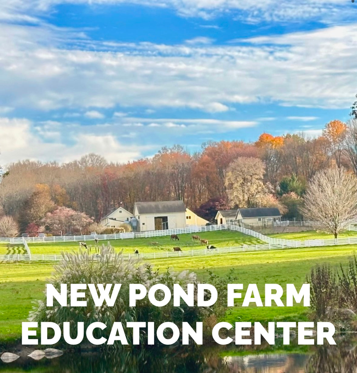 One Year Membership Bundle: Stamford Museum & Nature Center and New Pond Farm Education Center
