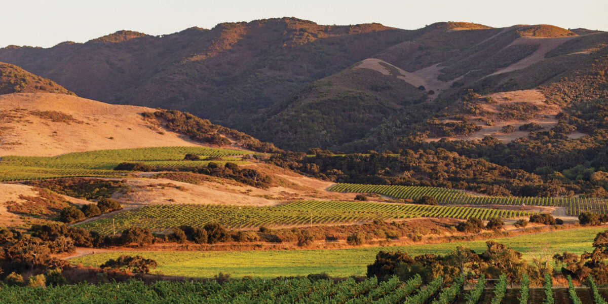 Family California Getaway: 7 Night Stay in Santa Barbara’s Wine Country incl. 2 Round Trip Air Tickets booked with Direct Travel