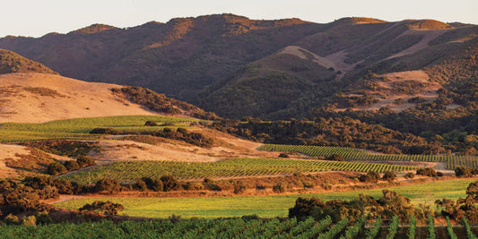 Family California Getaway: 7 Night Stay in Santa Barbara’s Wine Country incl. 2 Round Trip Air Tickets booked with Direct Travel