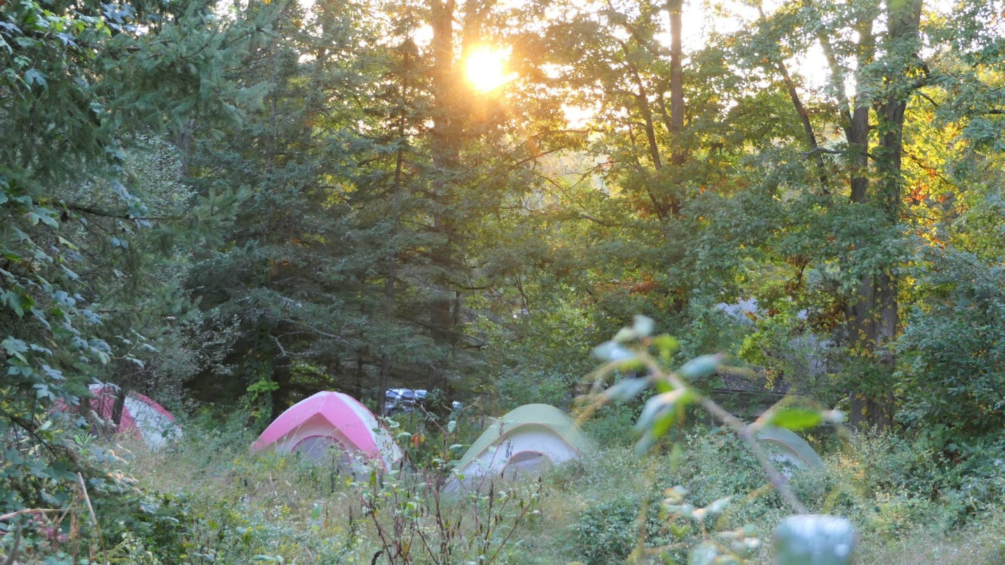 Wolf Conservation Center's  'Sleeping With the Wolves' for 4 people